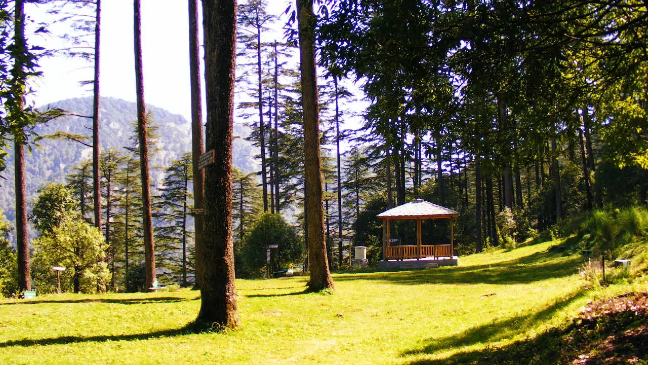 Dhanaulti